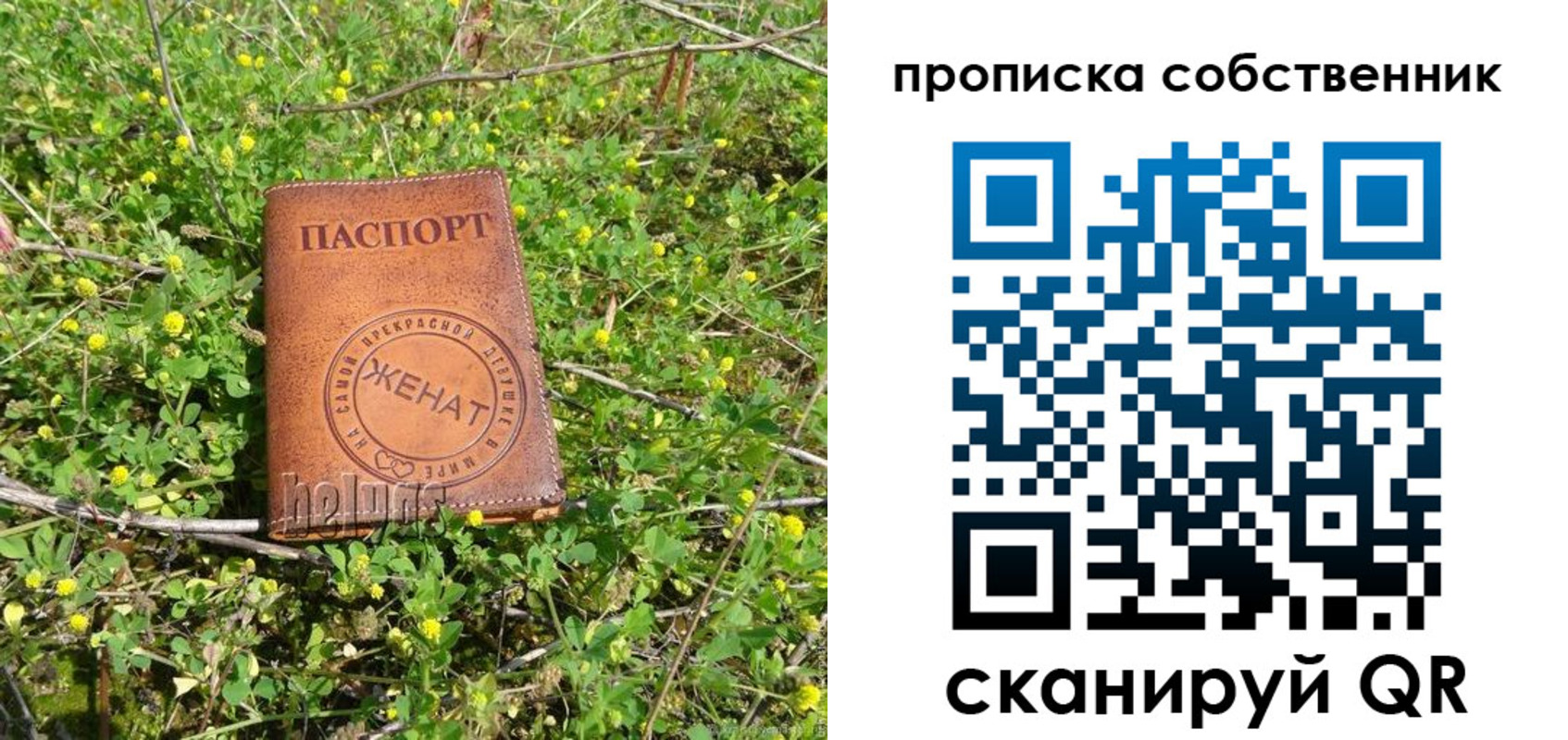 временная регистрация госуслуги в Коломне